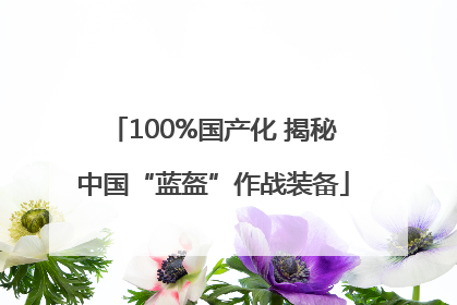 100%国产化 揭秘中国“蓝盔”作战装备
