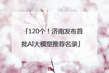 120个！济南发布首批AI大模型推荐名录