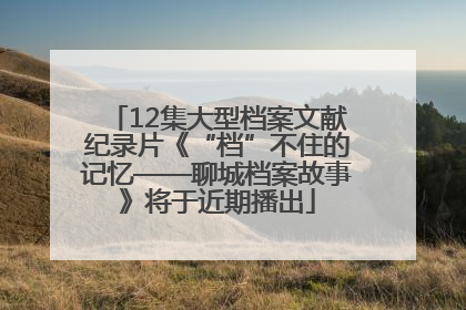 12集大型档案文献纪录片《“档”不住的记忆——聊城档案故事》将于近期播出
