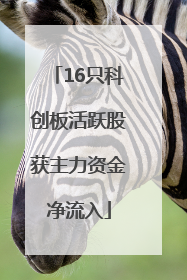 16只科创板活跃股获主力资金净流入