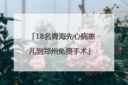 18名青海先心病患儿到郑州免费手术