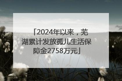2024年以来，芜湖累计发放孤儿生活保障金2758万元