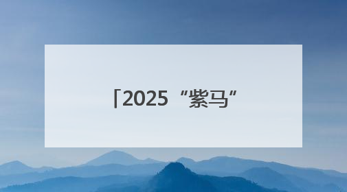 2025“紫马”奖牌、服装亮相啦→快来一睹风采吧！