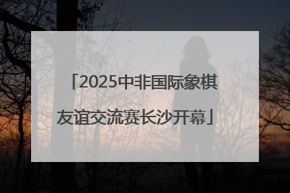2025中非国际象棋友谊交流赛长沙开幕