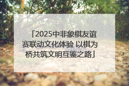 2025中非象棋友谊赛联动文化体验 以棋为桥共筑文明互鉴之路