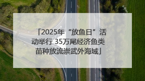 2025年“放鱼日”活动举行 35万尾经济鱼类苗种放流崇武外海域