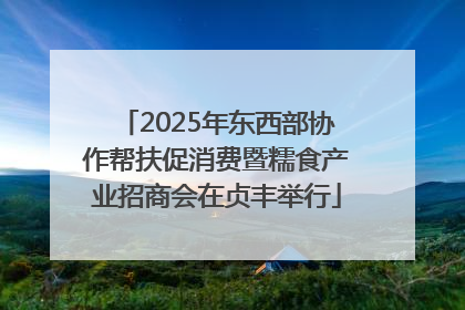 2025年东西部协作帮扶促消费暨糯食产业招商会在贞丰举行