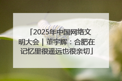 2025年中国网络文明大会｜董宇辉：合肥在记忆里很遥远也很亲切