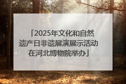 2025年文化和自然遗产日非遗展演展示活动在河北博物院举办