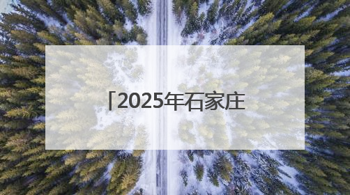 2025年石家庄“文化和自然遗产日”非遗活动启幕