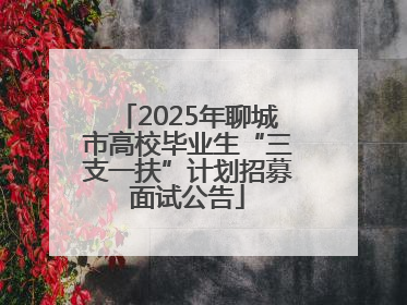 2025年聊城市高校毕业生“三支一扶”计划招募面试公告