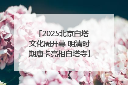 2025北京白塔文化周开幕 明清时期唐卡亮相白塔寺