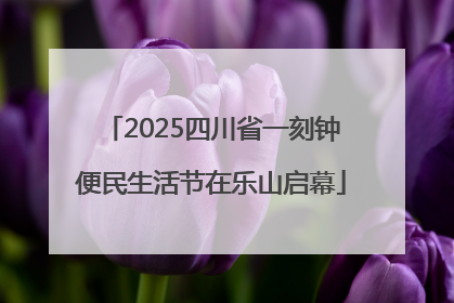 2025四川省一刻钟便民生活节在乐山启幕