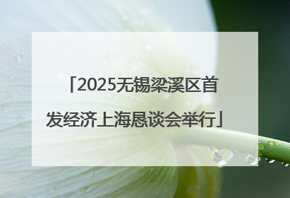 2025无锡梁溪区首发经济上海恳谈会举行