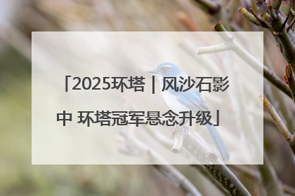 2025环塔｜风沙石影中 环塔冠军悬念升级