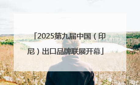2025第九届中国（印尼）出口品牌联展开幕