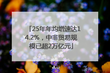 25年年均增速达14.2%，中非贸易规模已超2万亿元