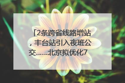 2条跨省线路增站，丰台站引入夜班公交……北京拟优化7条公交线！