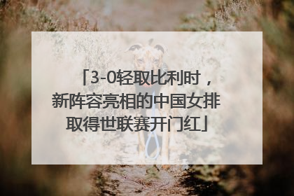 3-0轻取比利时，新阵容亮相的中国女排取得世联赛开门红