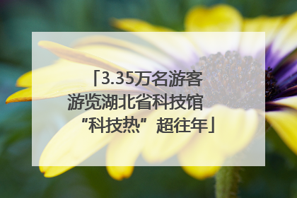 3.35万名游客游览湖北省科技馆 “科技热”超往年