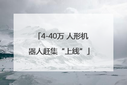 4-40万 人形机器人赶集“上线”