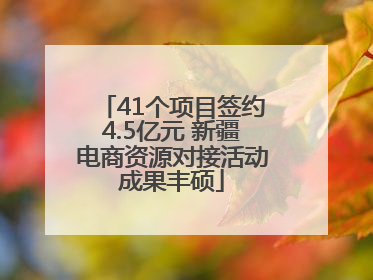 41个项目签约4.5亿元 新疆电商资源对接活动成果丰硕