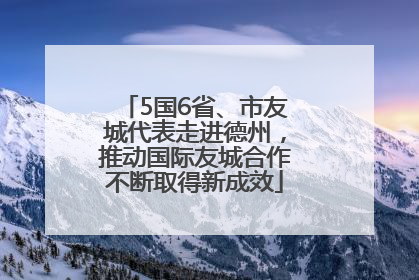 5国6省、市友城代表走进德州，推动国际友城合作不断取得新成效