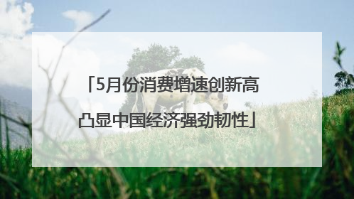 5月份消费增速创新高 凸显中国经济强劲韧性