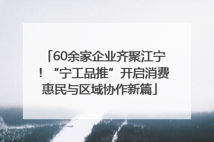 60余家企业齐聚江宁！“宁工品推”开启消费惠民与区域协作新篇