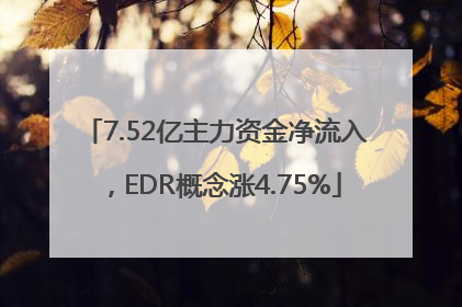 7.52亿主力资金净流入，EDR概念涨4.75%