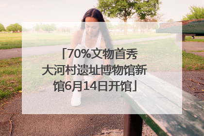 70%文物首秀 大河村遗址博物馆新馆6月14日开馆