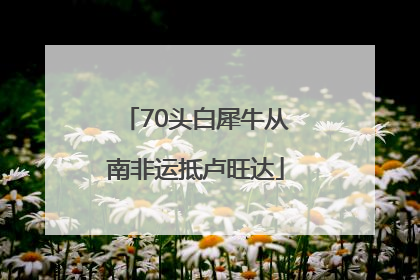 70头白犀牛从南非运抵卢旺达