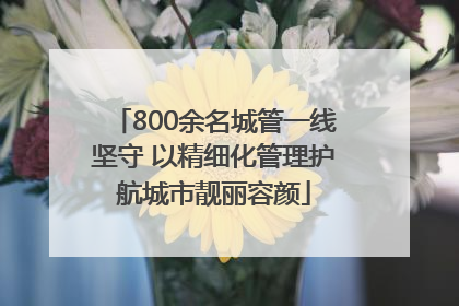 800余名城管一线坚守 以精细化管理护航城市靓丽容颜