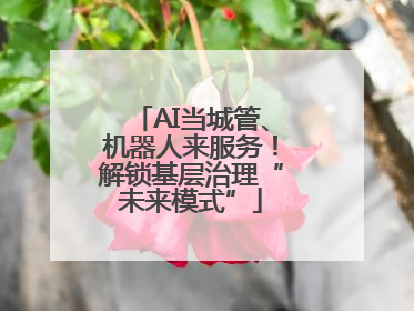 AI当城管、机器人来服务！解锁基层治理“未来模式”