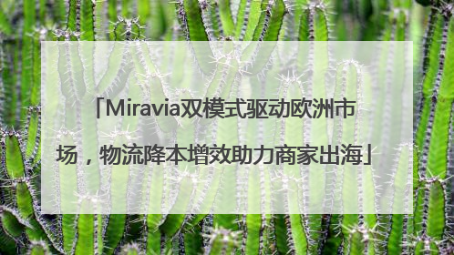 Miravia双模式驱动欧洲市场，物流降本增效助力商家出海