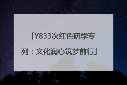Y833次红色研学专列：文化润心筑梦前行